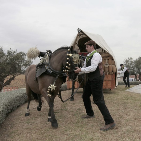 Ofrena al Cavall  Centenari 2016 (165)