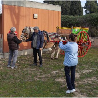 EBM els Pins Pere Tarres 2025 (14)