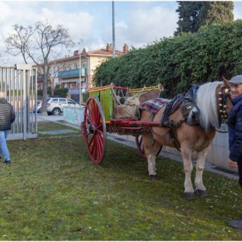 EBM els Pins Pere Tarres 2025 (2)