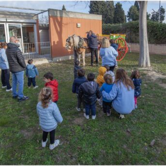 EBM els Pins Pere Tarres 2025 (9)