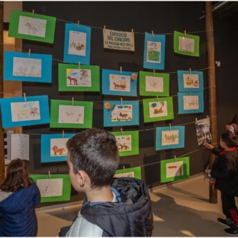 Entrega de Premis La Passada Mes Dolça Museo OK (3)