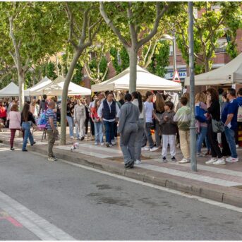 Diada de Sant Jordi 2025 (17)