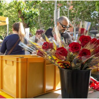 Diada de Sant Jordi 2025 (19)