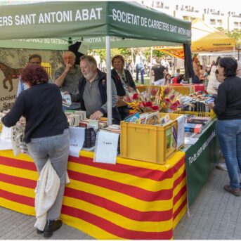 Diada de Sant Jordi 2025 (25)