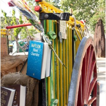 Diada de Sant Jordi 2025 (27)