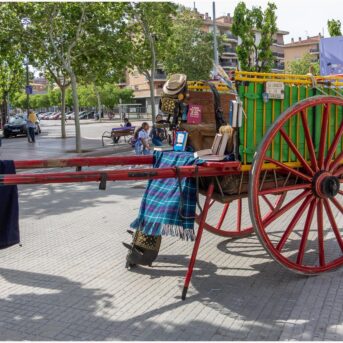 Diada de Sant Jordi 2025 (6)