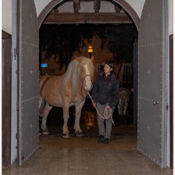 Missa Sant Antoni Abat 2026 (38)