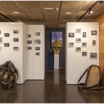 Vermout del Carreter Museo 2026 (14)