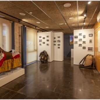 Vermout del Carreter Museo 2026 (2)