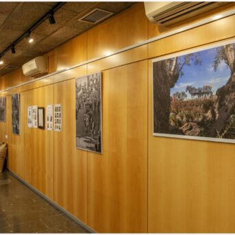 Vermout del Carreter Museo 2026 (5)