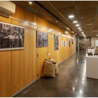 Vermout del Carreter Museo 2026 (6)