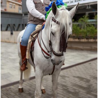 Master dels Tres Tombs 2026 (119)