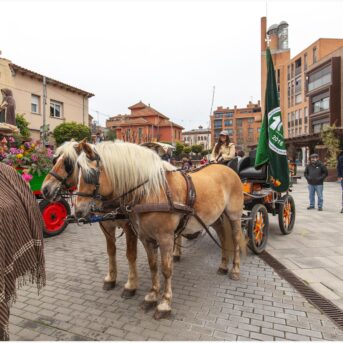 Master dels Tres Tombs 2026 (135)
