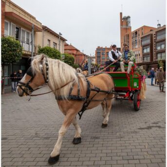Master dels Tres Tombs 2026 (148)