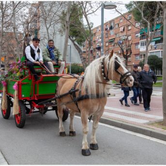Master dels Tres Tombs 2026 (166)