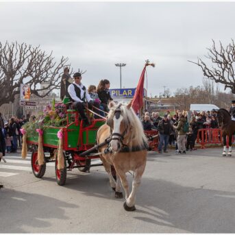 Master dels Tres Tombs 2026 (223)