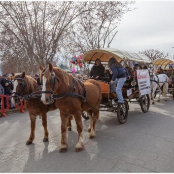Master dels Tres Tombs 2026 (232)