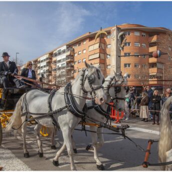 Master dels Tres Tombs 2026 (293)
