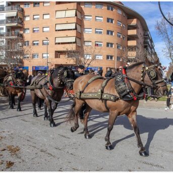 Master dels Tres Tombs 2026 (311)