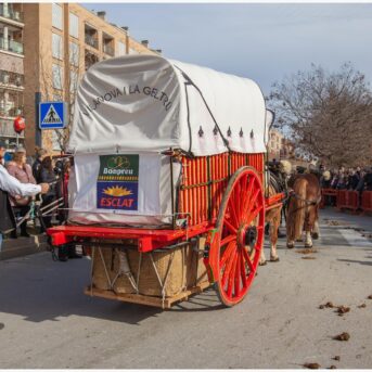 Master dels Tres Tombs 2026 (319)