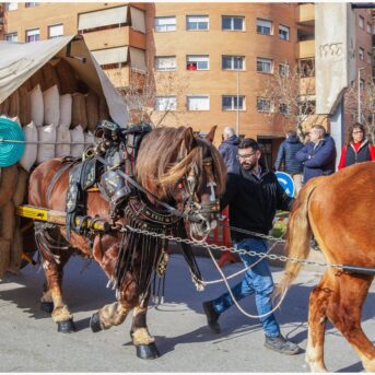 Master dels Tres Tombs 2026 (329)