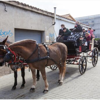 Master dels Tres Tombs 2026 (340)