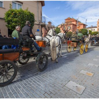 Master dels Tres Tombs 2026 (342)