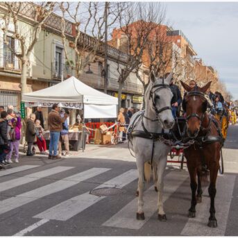 Master dels Tres Tombs 2026 (344)