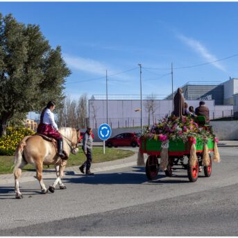Monument als Carreters 2026 (1)