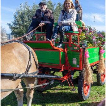 Monument als Carreters 2026 (14)