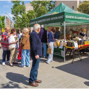 Diada de Sant Jordi 2026 (10)