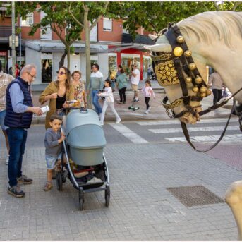 Diada de Sant Jordi 2026 (17)