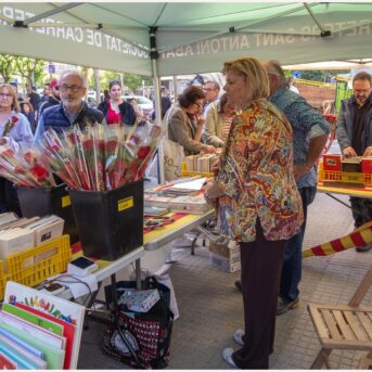 Diada de Sant Jordi 2026 (18)