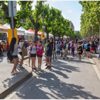 Diada de Sant Jordi 2026 (2)