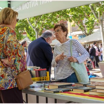 Diada de Sant Jordi 2026 (4)