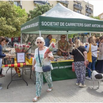 Diada de Sant Jordi 2026 (5)