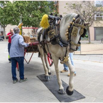 Diada de Sant Jordi 2026 (6)