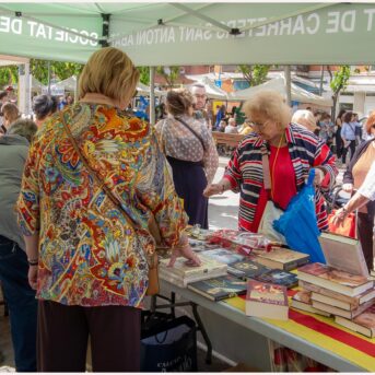 Diada de Sant Jordi 2026 (9)