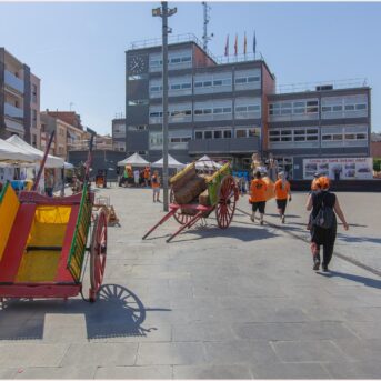Festa del Carreter 2026 (2)