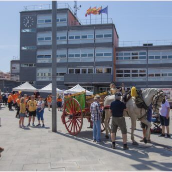 Festa del Carreter 2026 (28)