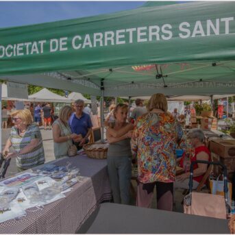 Festa del Carreter 2026 (29)