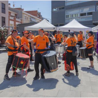 Festa del Carreter 2026 (31)