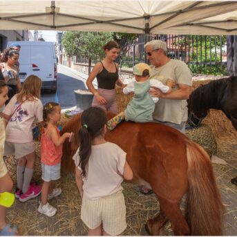 Festa del Carreter 2026 (38)
