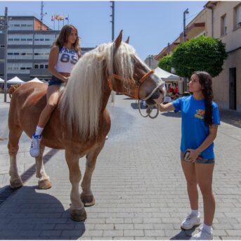 Festa del Carreter 2026 (42)