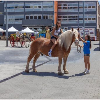 Festa del Carreter 2026 (44)