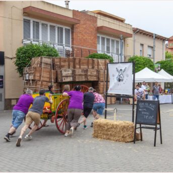 Festa del Carreter 2026 (45)