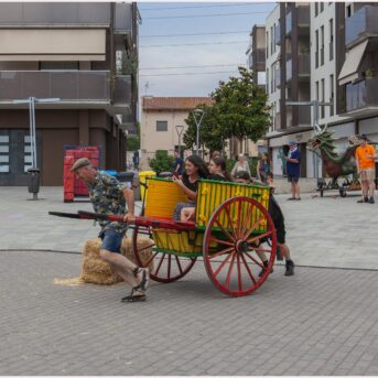 Festa del Carreter 2026 (47)