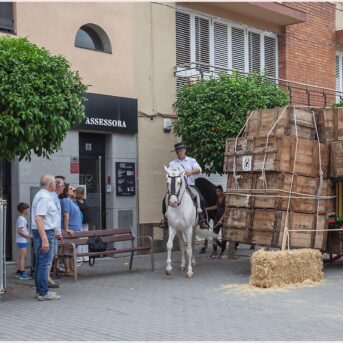 Festa del Carreter 2026 (54)
