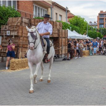 Festa del Carreter 2026 (56)