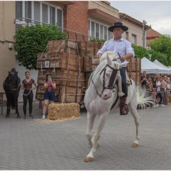 Festa del Carreter 2026 (57)